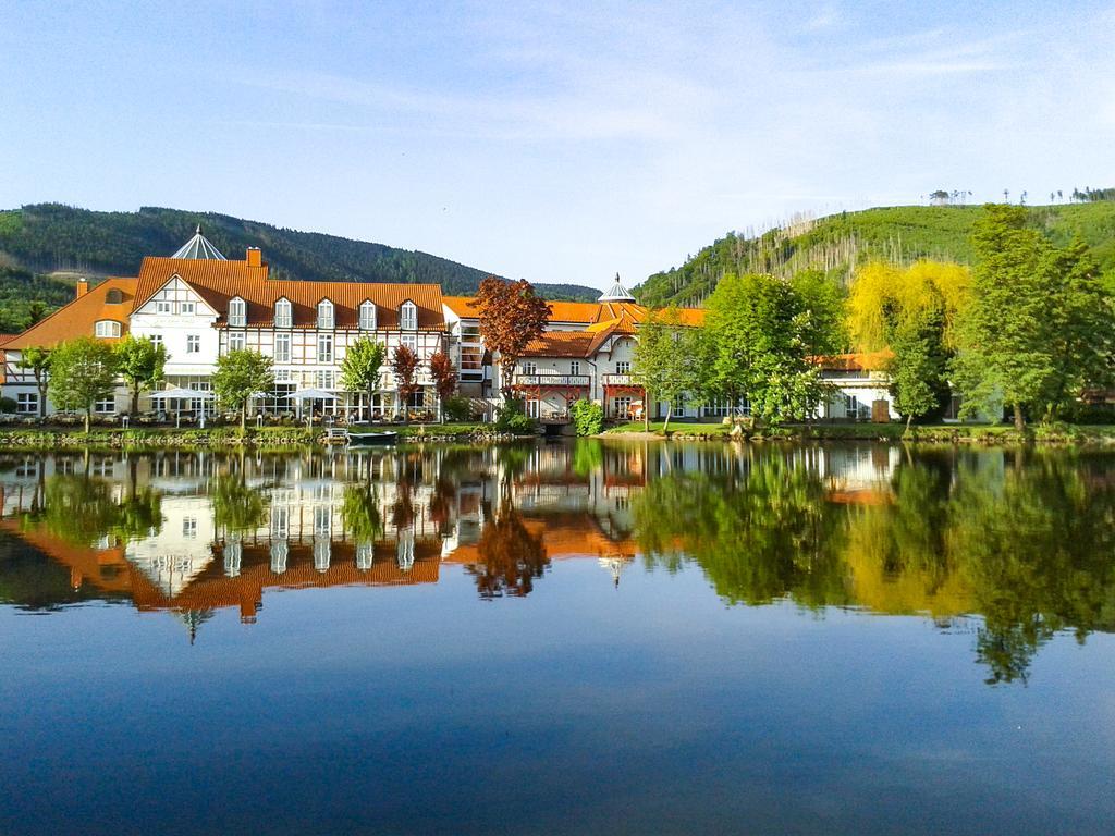 랜드하우스 주 덴 로덴 포어렌 호텔 일젠부르크 외부 사진 The town of Titisee