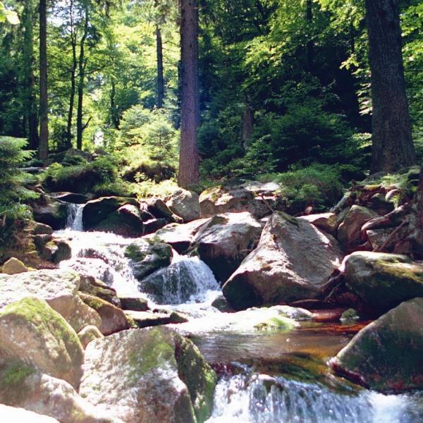 랜드하우스 주 덴 로덴 포어렌 호텔 일젠부르크 외부 사진 The West Branch of the Tygart Valley River